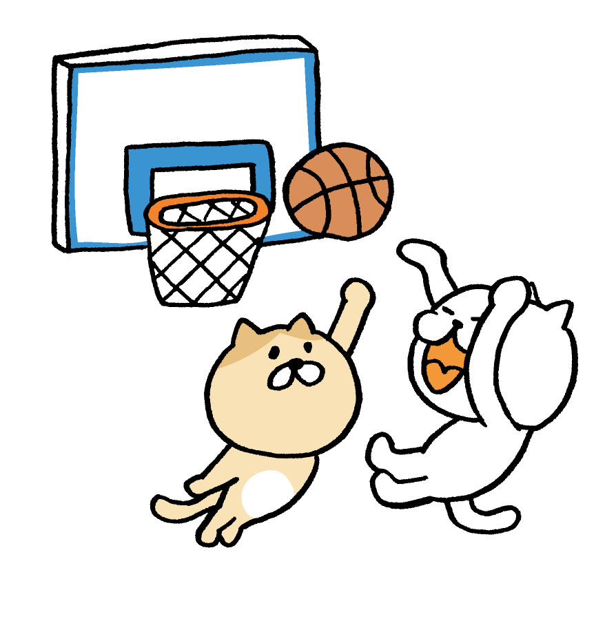 バスケ猫